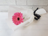 Single Gerbera Wrapped Bouquet - WD103 (Bulk)