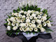 Pure White Sympathy Flower Stand - SY254