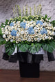 white gerberas, chrysanthemum, Condolences Stand - SY258