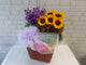 Sunflower & Fresh Fruit Basket - FR218