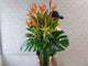 Lively Heliconia Vase - VS159