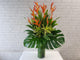 Lively Heliconia Vase - VS159