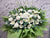 Thoughtful Condolence Flower Stand - SY269