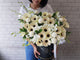 Purity Gerbera & Ping Pong Flower Box - BK311