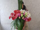 Anthurium & Cymbidium Vase - VS163