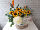 Fruit & Flower - FR231