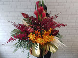 Vibrant Tropical Cymbidium Flower Box - BT009