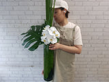 Phalaenopsis Orchid Vase - VS162