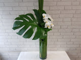 Phalaenopsis Orchid Vase - VS162