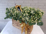 Chamomile & Wine Gift - WN082