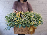 Chamomile & Wine Gift - WN082