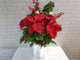 Joyful Poinsettia Mx Christmas Gift - XM157