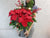 Joyful Poinsettia Mx Christmas Gift - XM157