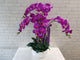 White Orchid Grace - Artificial Flower (AT049)