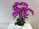 White Orchid Grace - Artificial Flower (AT049)