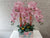 Everlasting Graceful Phalaenopsis Vase - CNY370