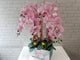 Everlasting Graceful Phalaenopsis Vase - CNY370