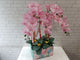 Everlasting Graceful Phalaenopsis Vase - CNY370