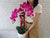 Everlasting Phalaenopsis Orchid Vase -CNY371