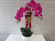 Everlasting Phalaenopsis Orchid Vase -CNY371