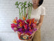 Wealth Treasures CNY Flower - CNY356