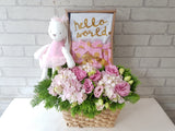 Pretty in Pink New Born Basket - NB180