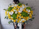 Joyful Rose & Hydrangeas Flower Box - BT060