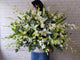 Lively Lily & Orchid Vase - VS125