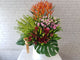 Bold Elegance Flower Box - BT066