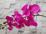 Artificial Phalaenopsis Orchid - AT028