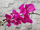 Artificial Phalaenopsis Orchid - AT028