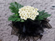 Serene Sympathy Stand - SY299