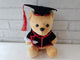 Graduation Bear - TY145