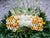Graceful Respect Condolences Stand - SY298