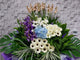 Solemn Condolences Stand - SY302