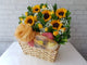 Fruit & Flower - FR190