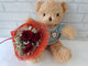 3 Rose I Love U Teddy Bear TD414