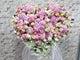 Sweet Elegance Condolences Flower Stand - SY181