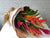Jungle Bloom Hand Bouquet - HB041