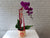 Lunar Phalaenopsis Orchids - CNY385