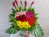 Colorful Gerbera Floral Display - BK767