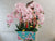 Everlasting Graceful Phalaenopsis- CNY370