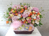Radiant Energy Fruit Basket - FR268