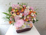 Radiant Energy Fruit Basket - FR268