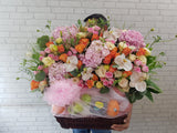 Radiant Energy Fruit Basket - FR268