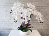 Artificial Phalaenopsis Orchids - AT094
