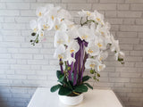 Artificial Phalaenopsis Orchids - AT094