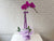 Phalaenopsis Orchids Pot -  VS198