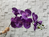 Artificial Phalaenopsis Orchid - AT001