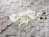 Artificial Phalaenopsis Orchid - AT001